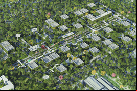 Elea superou metas de sustentabilidade ao longo de 2024